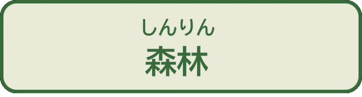 中級問2_選択肢1森林