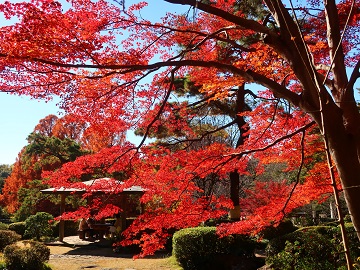 東屋付近2