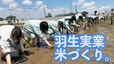 画像：埼玉県立羽生実業高等学校 農業経済科環境資源コース