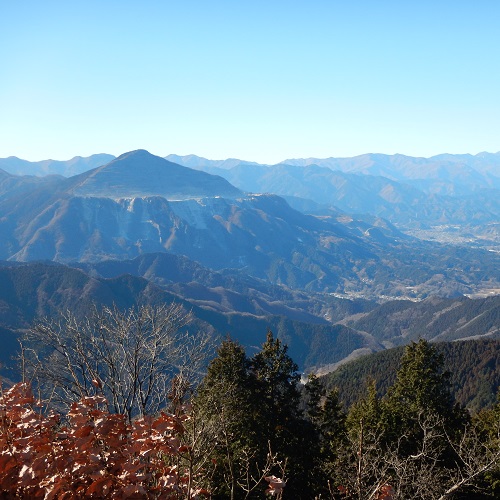 県民の森の景色の画像