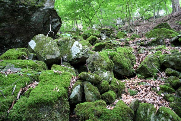 不動の滝の途中にある苔におおわれた風景の写真その2