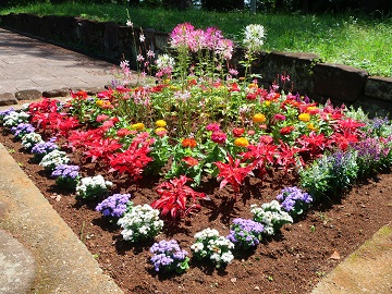 坂道の花壇
