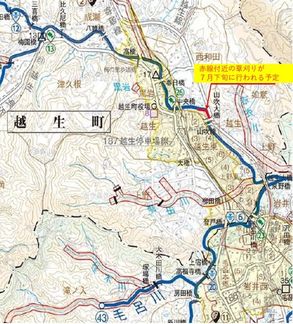 山吹大橋付近の除草時期について