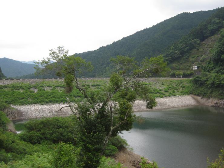 7月1日ダム貯水状況1