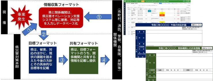 プロトコール概要