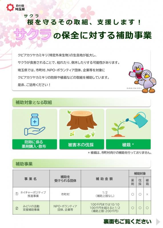 ちらし1
