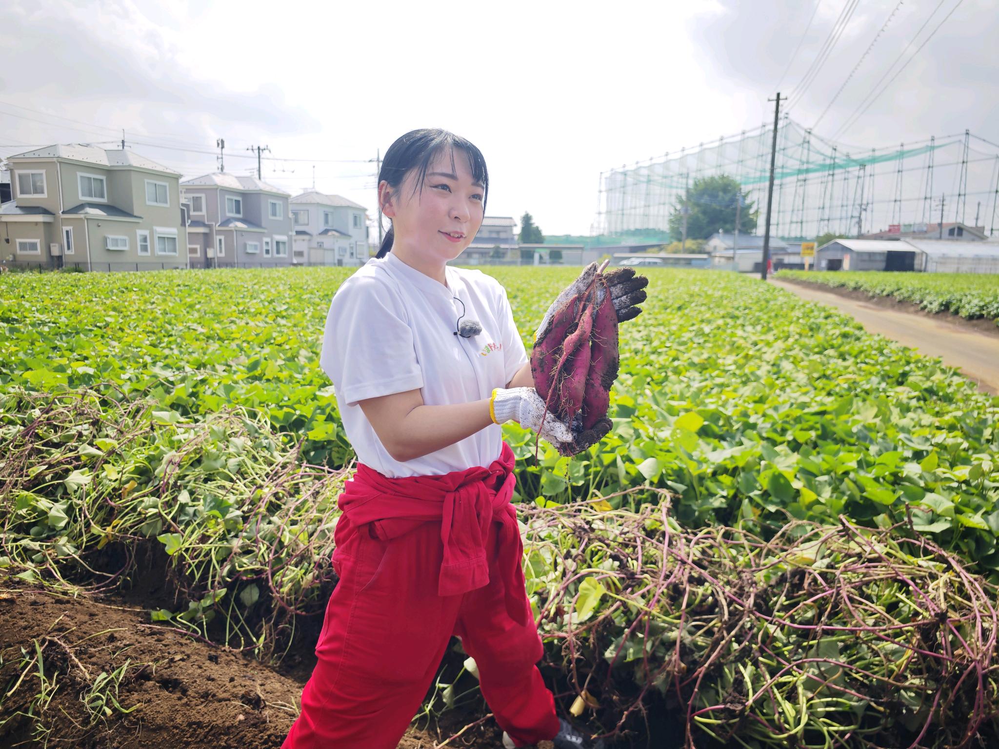 アンゴラ村長がサツマイモを持っている写真