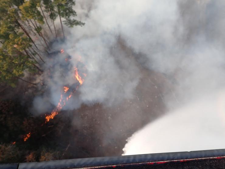林野火災の写真その2