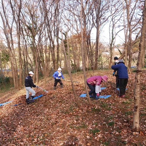 里山の管理作業をする様子の写真