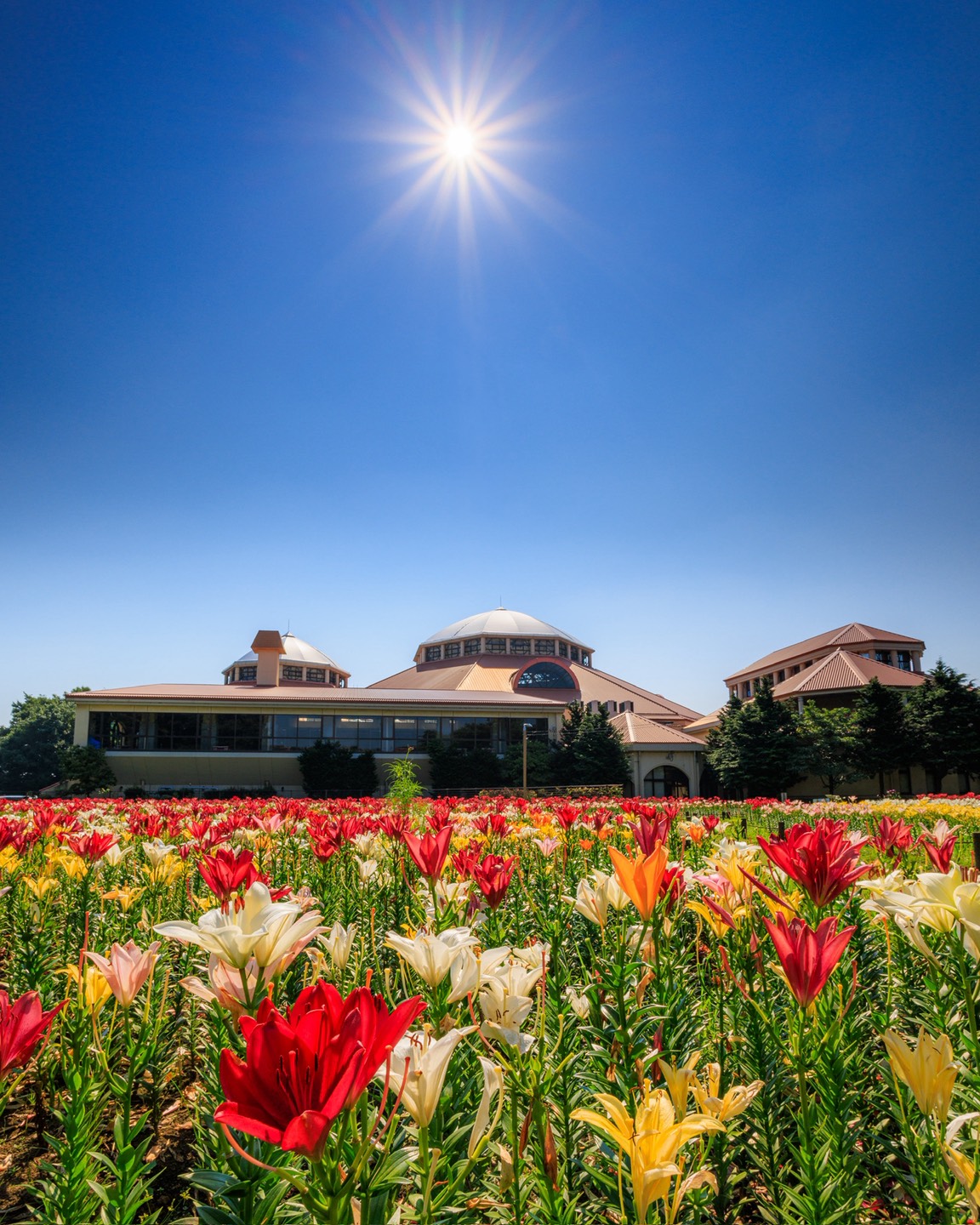 特別賞_深谷グリーンパーク