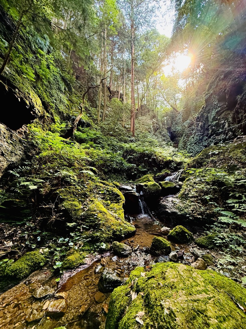優秀賞_黒山三滝