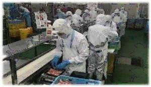 仕事をしている様子