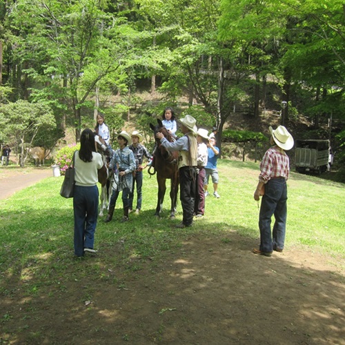 ウマとのふれあいコーナーの写真
