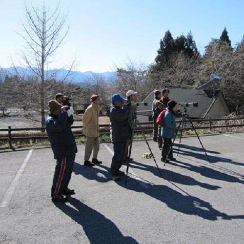 野鳥観察の様子