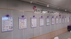 パープルリボン2