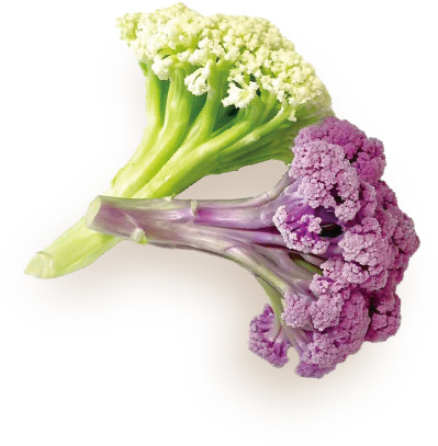 カリフローレの写真
