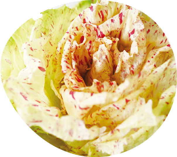 カステルフランコの写真