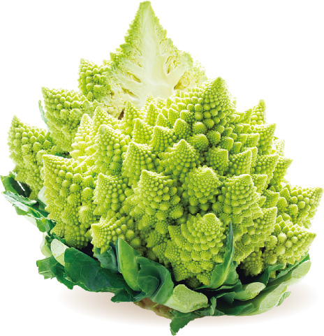 ロマネスコの写真