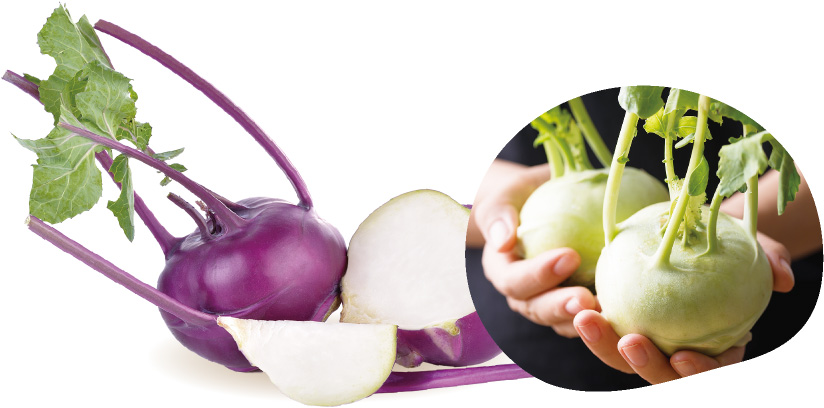 コールラビの写真