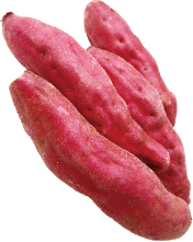 サツマイモの写真