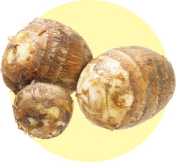 サトイモの写真