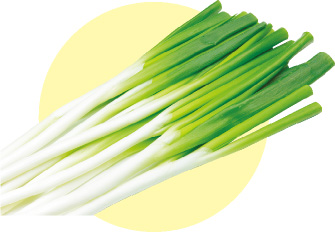ネギの写真