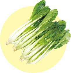 コマツナの写真