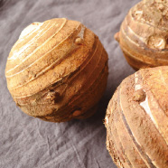 丸系八つ頭の写真