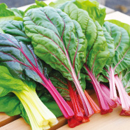 スイスチャードの写真