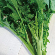 チーマ・ディ・ラーパの写真