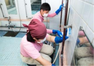 仕事をしている様子