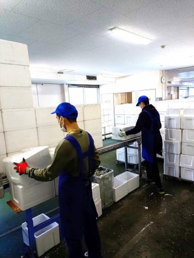 仕事をしている様子