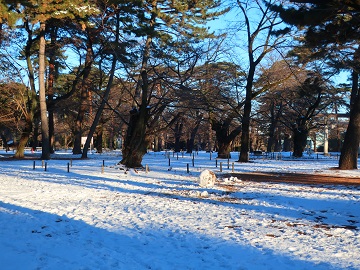 園地に残った雪