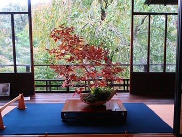 ヤマコウバシ（二階客間）