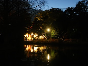 白鳥池に映る提灯の光