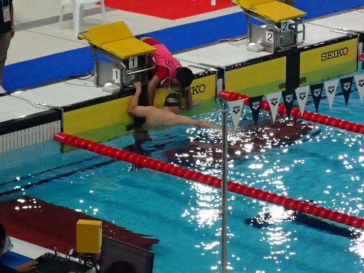 水泳を行っている様子