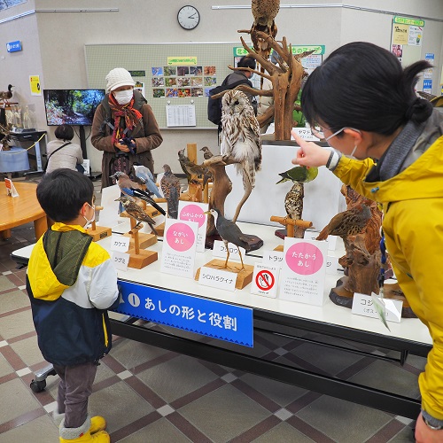 スタッフからレクチャーを受ける子どもの写真