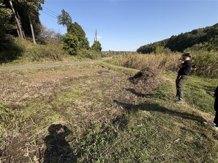 田んぼビオトープの写真