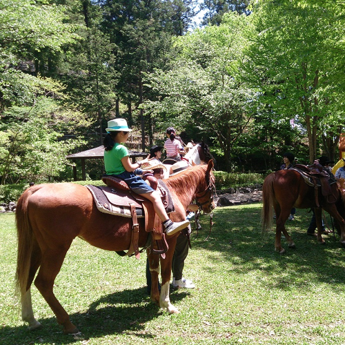 乗馬体験の様子