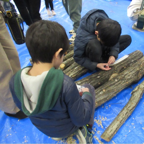 シイタケ植菌状況1