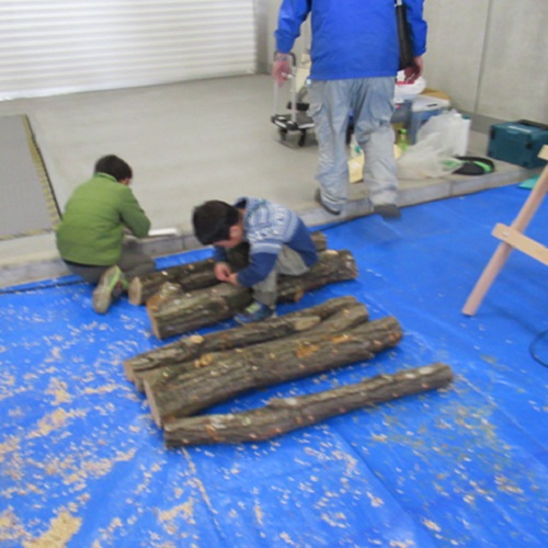 シイタケ植菌状況3