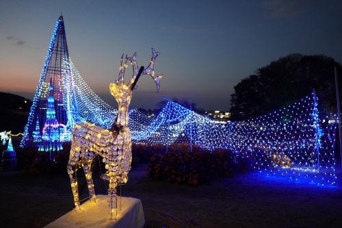 イルミネーション2