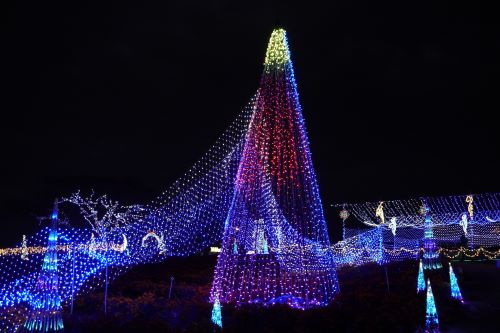 イルミネーション3