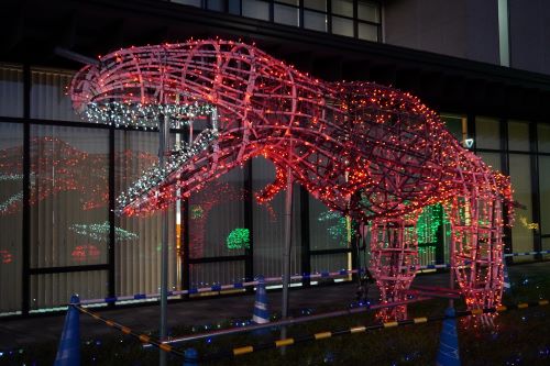 イルミネーション2