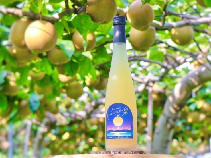 月にあこがれた梨