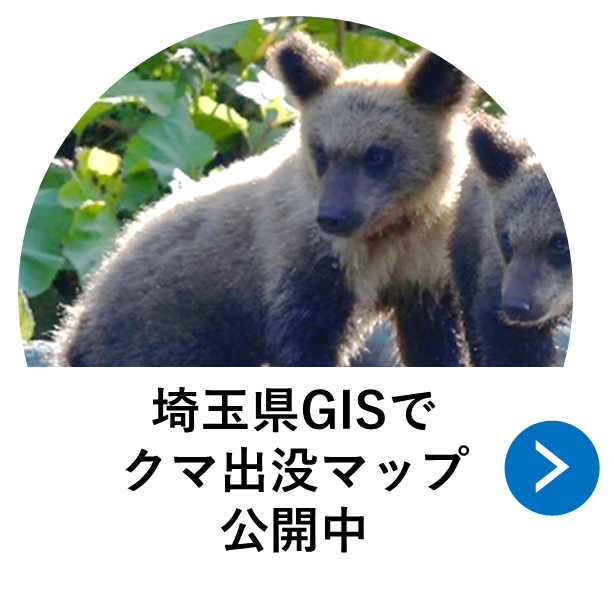 埼玉県GISでクマ出没マップ公開中