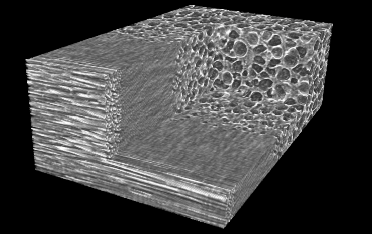 マイクロフォーカスX線CT装置による測定例