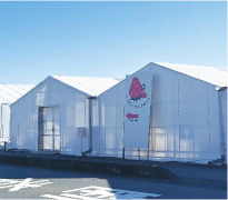 いちごハウスきみしまの写真