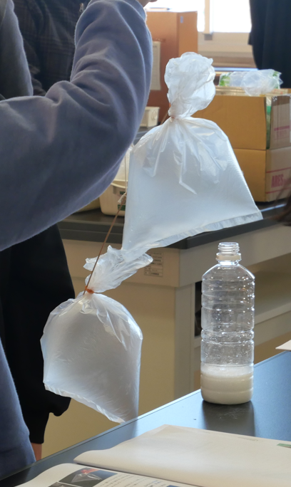 写真：天秤が二酸化炭素を入れた袋のほうに傾く様子