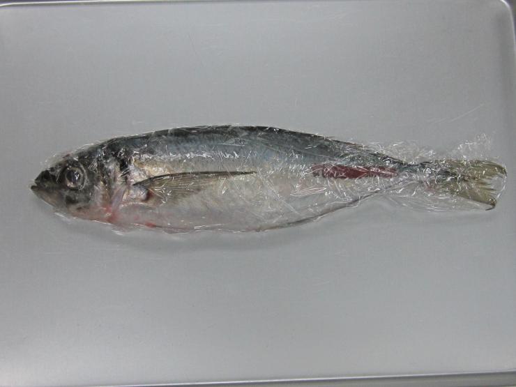 魚の保存方法
